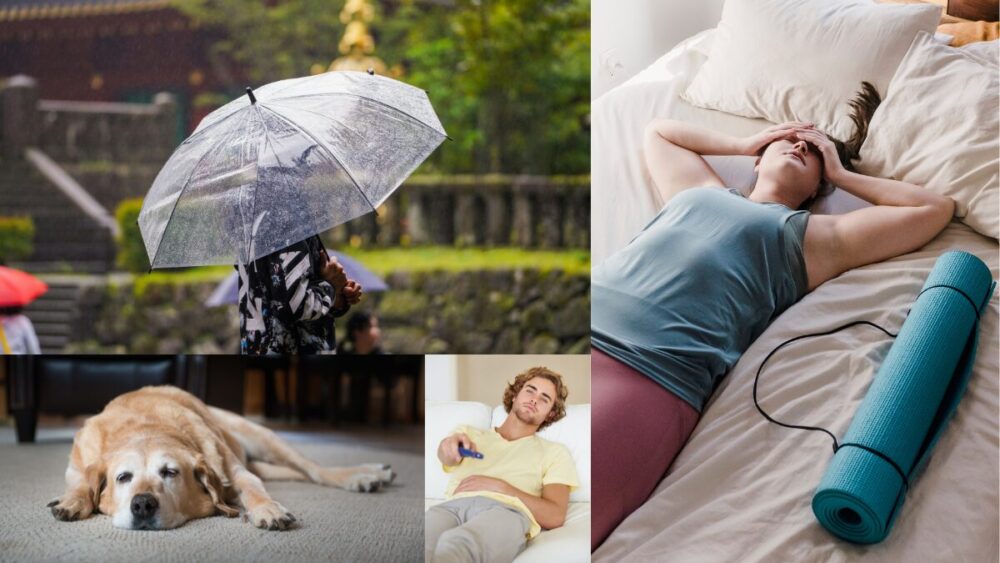 梅雨はカパが増え体調が優れない様子