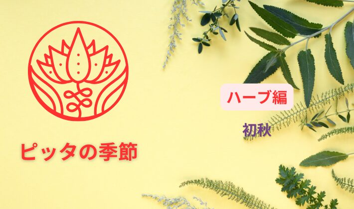 初秋におすすめのハーブ