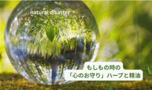 災害時のハーブ