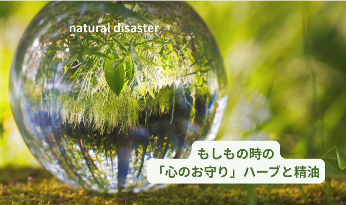 災害時のハーブ