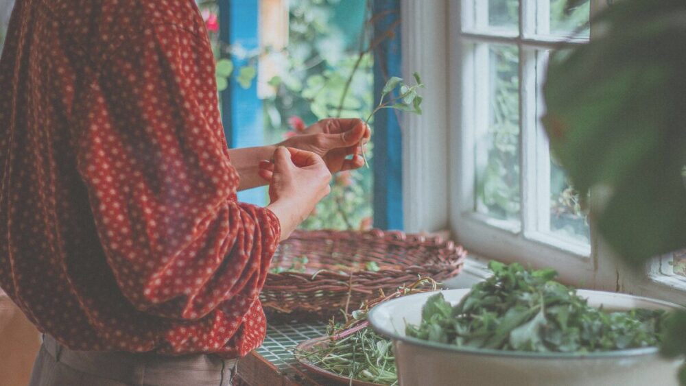 台所でハーブの選定