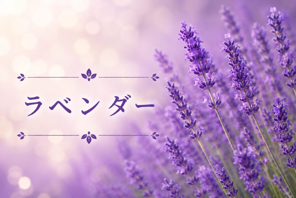 アイキャッチ画像 ラベンダー