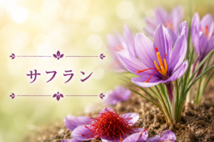 ハーブ事典　サフラン